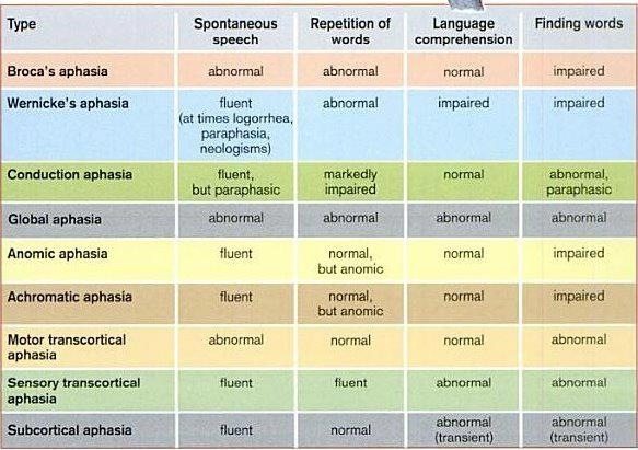 What is aphasia? Useful guide to fight lack of communication