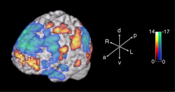 40 Tipos De Memoria Cómo Guarda El Cerebro Humano Los - 