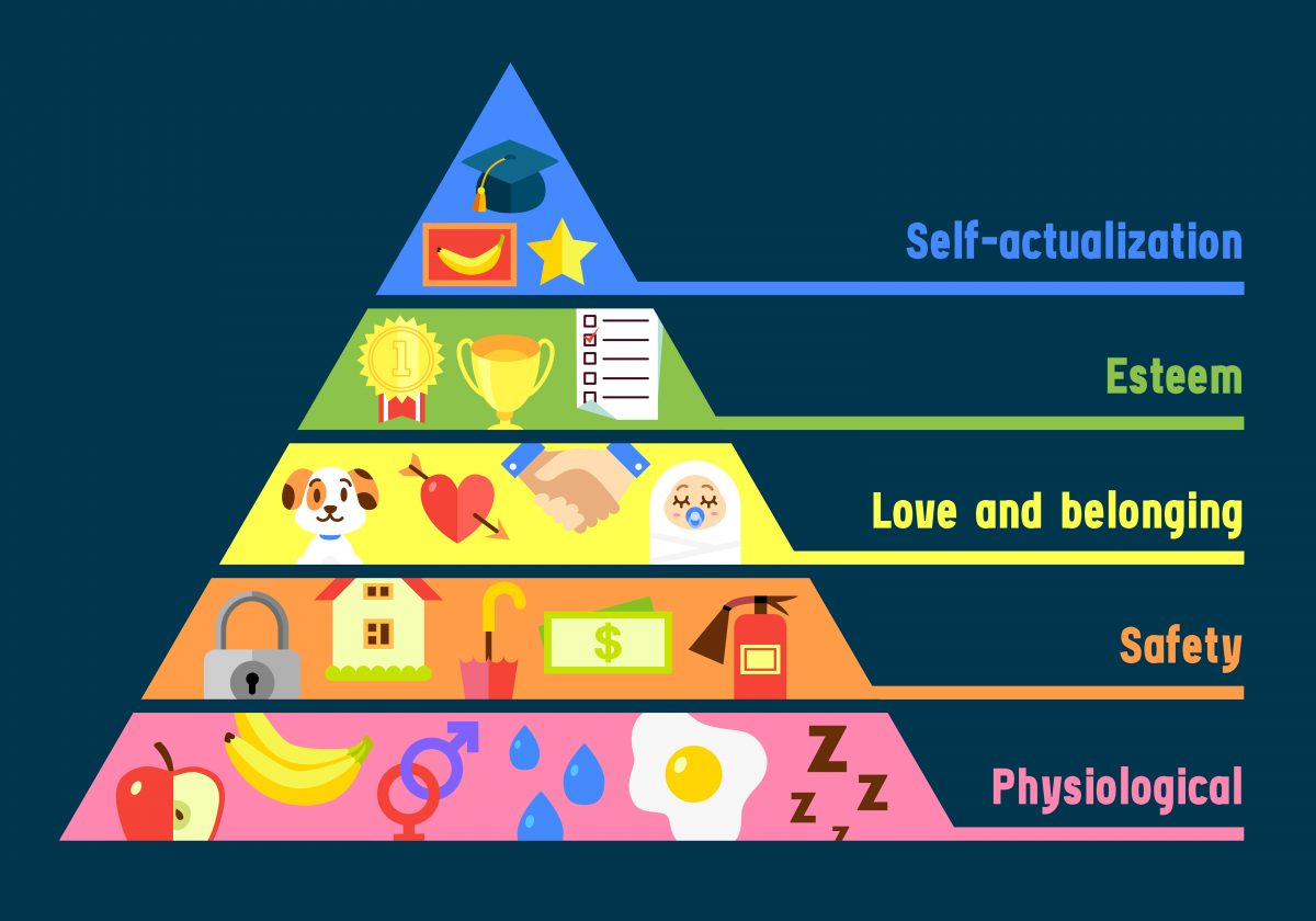 Image result for maslow's pyramid