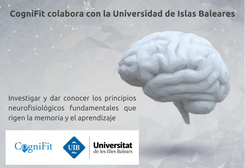 CogniFit Memoria - Universidad Islas Baleares