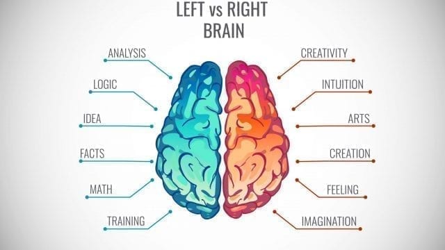 left-brain-right-brain-9-ways-our-brain-hemispheres-work-together