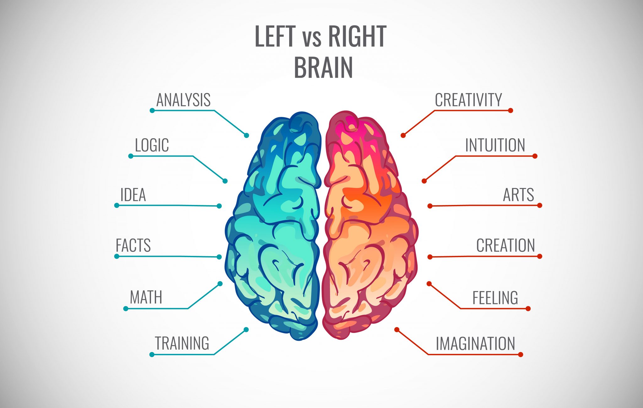 Левое и правое полушарие мозга инфографика