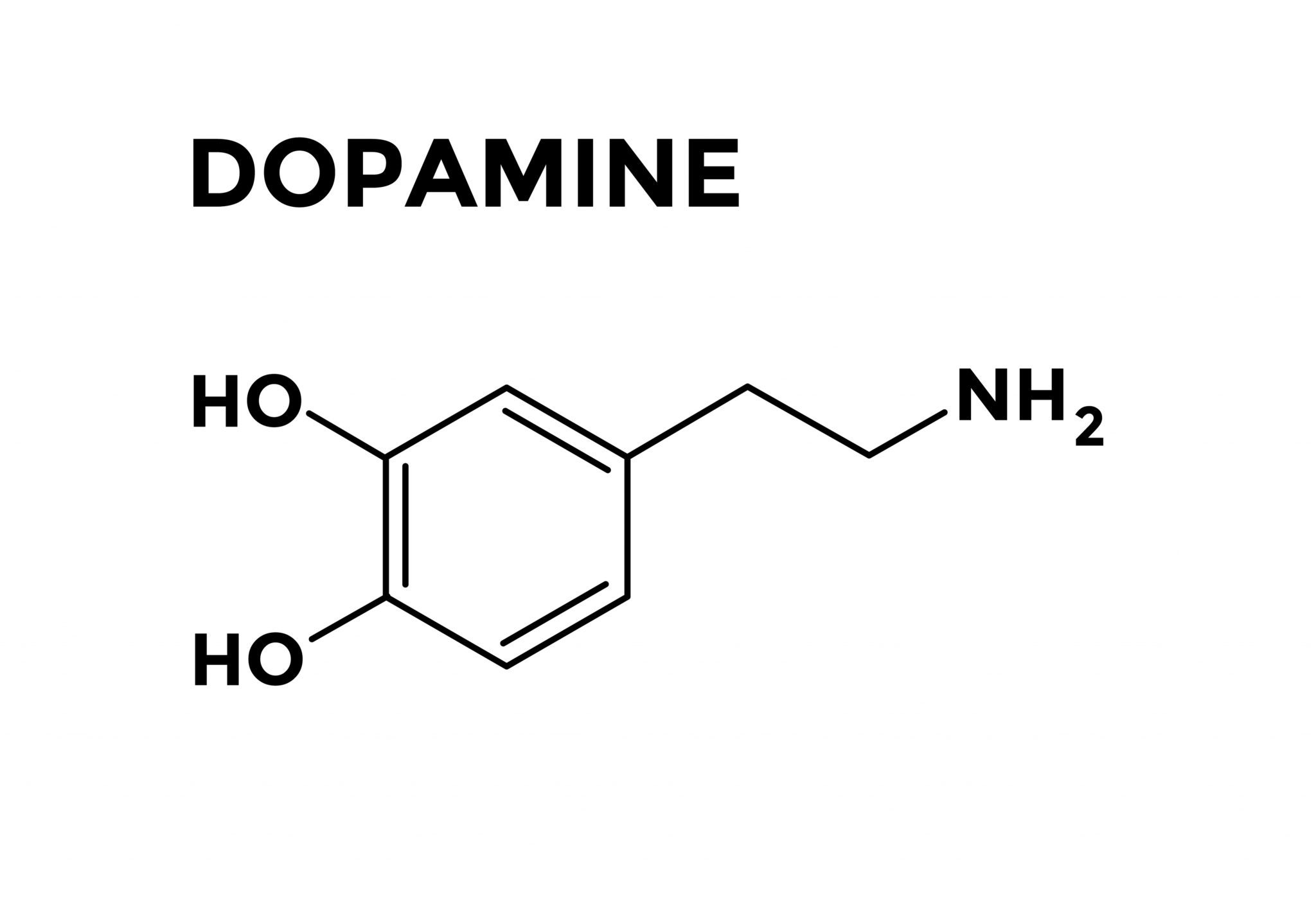 Dopamine 1 