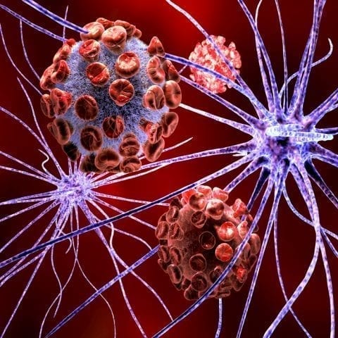Brain displays an intrinsic mechanism for fighting infection