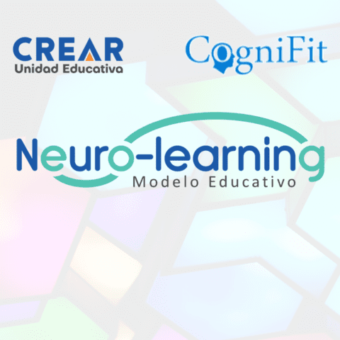 CREAR Education Institute использует CogniFit в своей инновационной методике нейрообучения