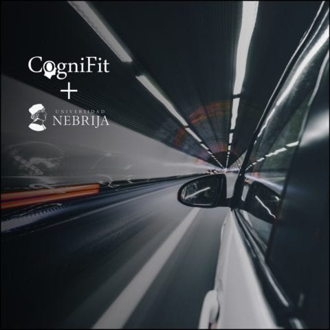 CogniFit сотрудничает с Университетом Небриха в области изучения безопасности за рулём