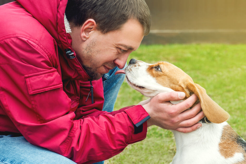 Human and dog brain activity synchronizes during eye contact, revealing a unique interspecies bond. 