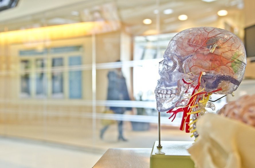 ¿Qué es el daño cerebral adquirido? Cómo actuar, prevención y tratamiento ¿Qué es el daño cerebral adquirido? Cómo actuar, prevención y tratamiento